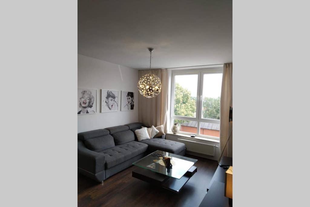 Sunny Penthouse With Roof Gardens Overlooking The Warsaw Palace Of Culture Pruszków Exterior foto